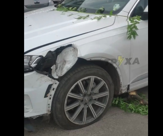 ДТП Харьков: Пьяный мужчина на Audi влетел в дерево после ссоры с женой